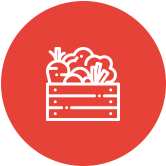 Спецпроекты в фудмоллах